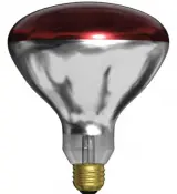 Heat Bulb