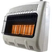 Wall Mounted Gas Heater